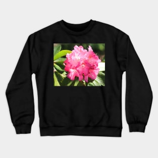 Pretty Rhododendron Crewneck Sweatshirt